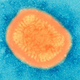 Illustration for article titled Vials Full of Smallpox Were Just Found In an Unapproved Lab